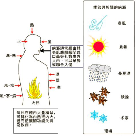 六邪|醫砭 » 中醫病因病機學 » 六淫